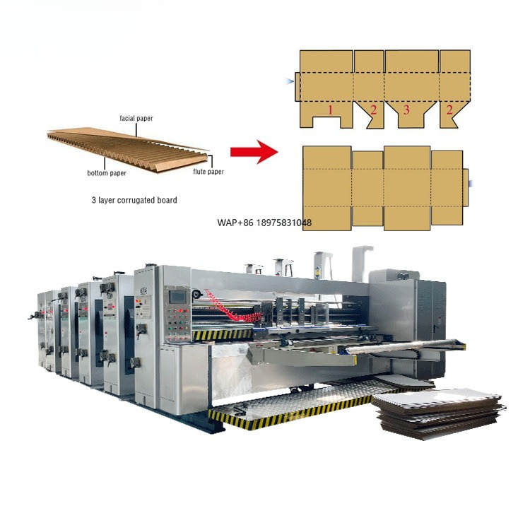 Automatic 4 Color Cartoning Pr - Die Cutting Machine 리뷰 및 가격